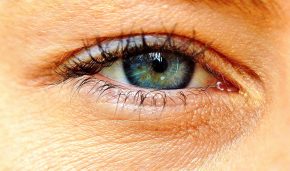 eye-2323146_1920