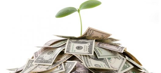 dinero_verde_18_01_16