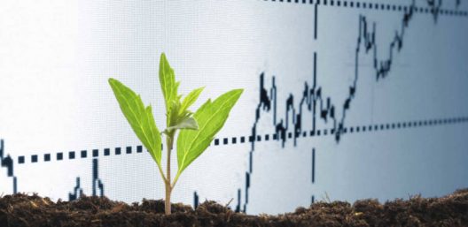 El 60% de los inversores 'millennials' tienen en cuenta la inversión socialmente responsable (ISR)
