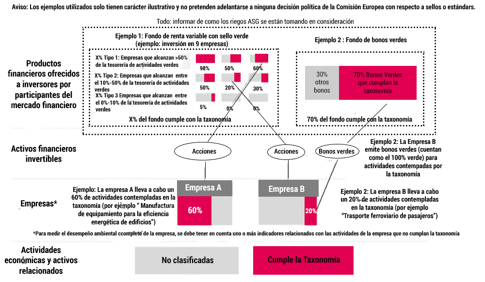 Ejemplos uso taxonomía