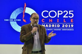 EL BONO VERDE: CASO DE ÉXITO PARA LA INNOVACIÓN VERDE