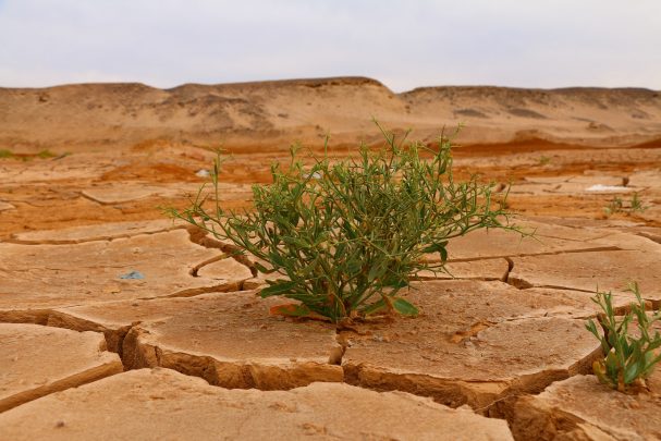 CÓMO MEJORAR LA INFORMACIÓN RELACIONADA CON EL CLIMA-UN RESUMEN DE BUENAS PRÁCTICAS DE EUROPA Y MÁS ALLÁ