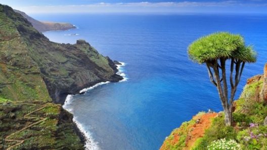dia-de-canarias_-por-que-se-celebra-el-30-de-mayo-655x368