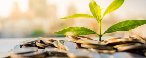 el-nuevo-caballo-ganador-asi-se-abre-paso-la-inversion-sostenible-entre-las-gestoras