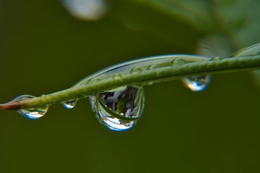 rain-5275702_1920