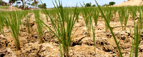 sequia-espana-cambio-climatico