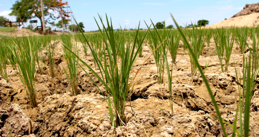 sequia-espana-cambio-climatico