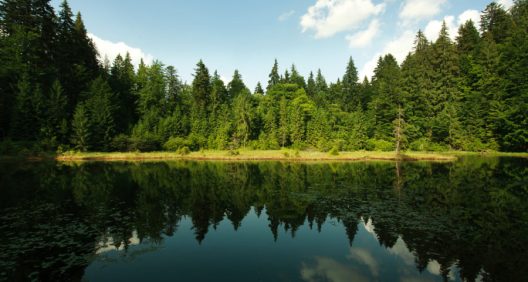 shutterstock_296013653-900x480-1