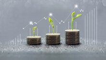 shutterstock_582498358_c