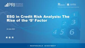 webinar-PRI