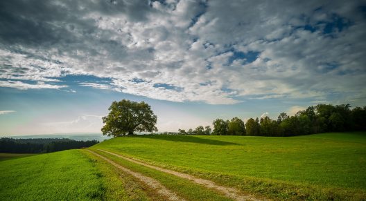landscape-3688043_1920