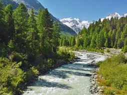mountain-spring-5180660_1920