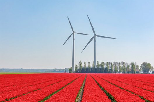 BBVA-OpenMind-Pacto-Verde-Europeo-1