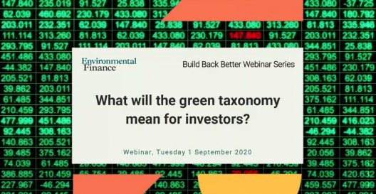 Webinar-What Will the Green Taxonomy Mean for Investors (1)