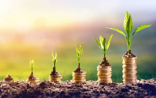la-inversion-bajo-criterios-sostenibles-avanza-imparable-en-tiempos-de-covid