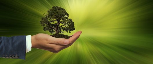 sustainability-3303398_1920