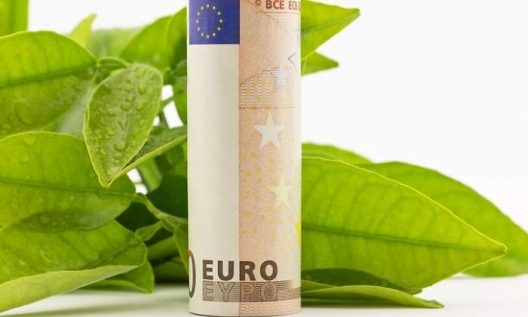 700x420_sostenible-euro-verde-dreams