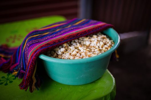 corn-4982164_1920
