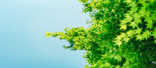 banner-ECODES_PACTO_20201130-1140x512
