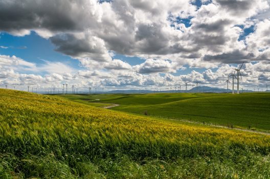 wind-farm-1209784_1920