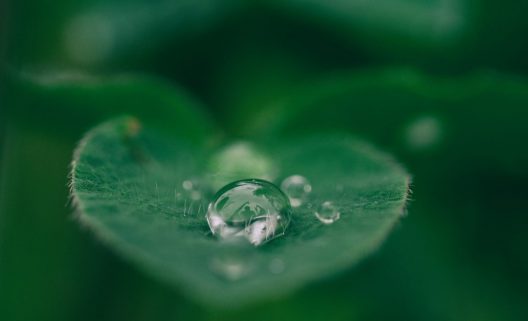 aaron-burden-dXYE1d08BiY-unsplash-1282x780