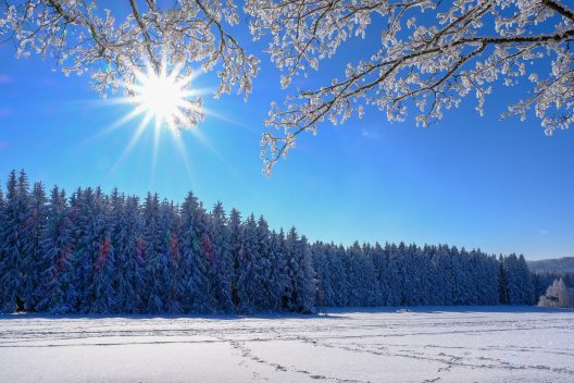 winter-5915750_1920