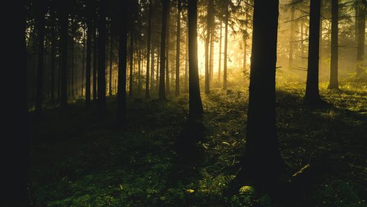 backlit-1867975_1920