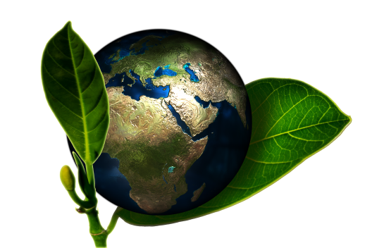 earth-661447_1920