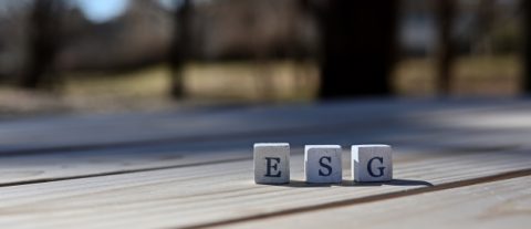 amazon-1127771_1920