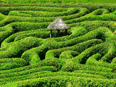 maze-511151_1920
