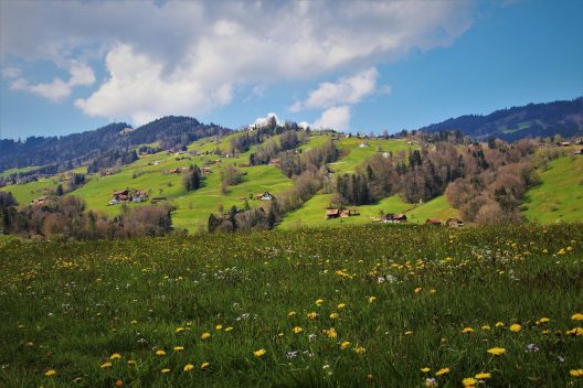 meadows-6200039_1920