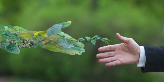 Andbank-ESG-imagen-manos-sostenibilidad-1280x640-1