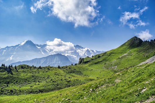 jamie-street-_94HLr_QXo8-unsplash-1282x780-1