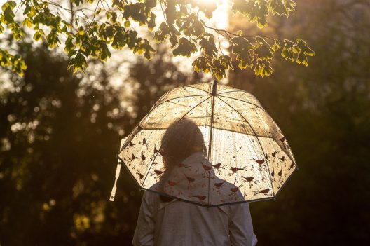 umbrella-6239364_1920