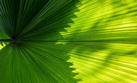 Foto-por-Wengang-Zhai-en-Unsplash-1282x780-1