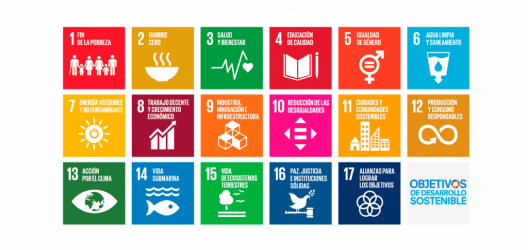 SDG_ES-1024x484-1