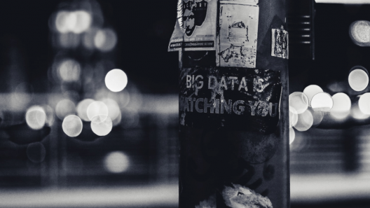 Zeroing-In-on-Big-Tech