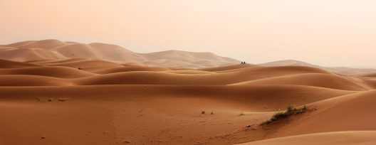 desert-2435404_1920