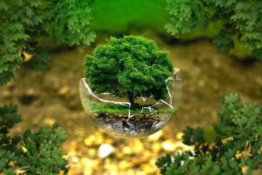 environmental-protection-326923_1920-1