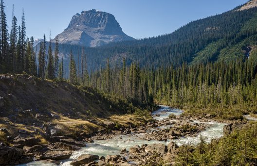 river-5662293_1920