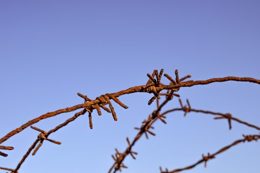 wire-2202773_1920