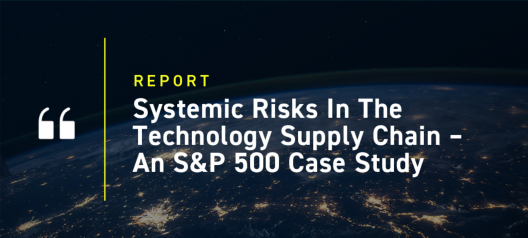 Systemic-Risks-in-the-Technology-Supply-Chain