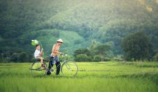 bicycle-1822640_1920