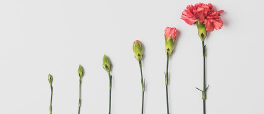edward-howell-VlTJdP8ZY1c-unsplash