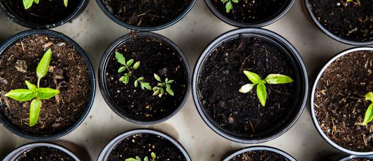 growth-crecimiento-esg-asg-verde-beneficio