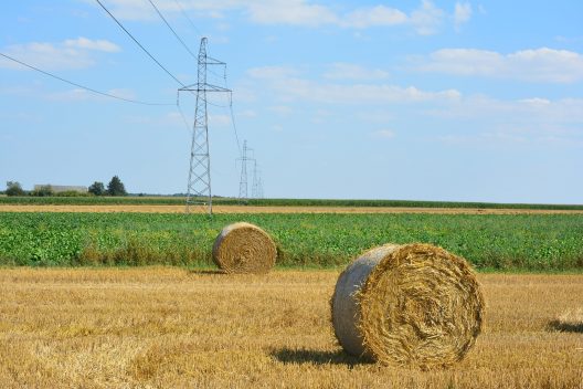 harvest-2656799_1920