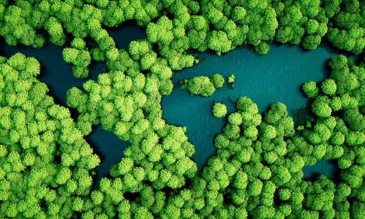 700x420_bonos-verdes-istock-770