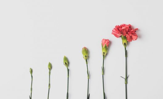 Foto-de-Edward-Howell-en-Unsplash-1282x780-1