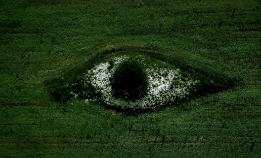 Foto-de-Egor-Vikhrev-en-Unsplash-1282x780-1