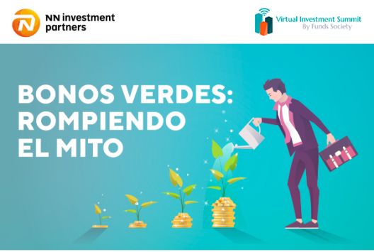 Imagen-VIS-NNIP-1
